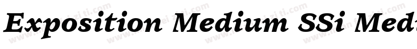 Exposition Medium SSi Medium Italic字体转换